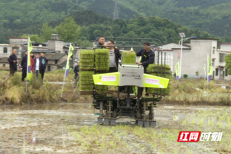 资兴首次亮相水稻有序抛秧机