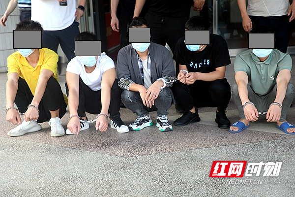 新田警方打击一帮信犯罪团伙涉案金额创历史新高