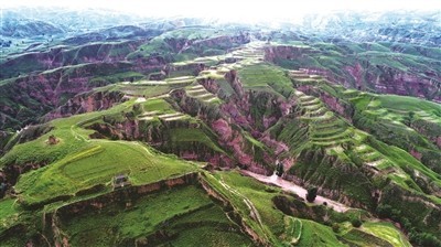 府谷生态经济发展全面提升