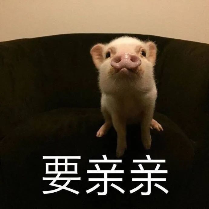 表情包我怕来不及我要带走你