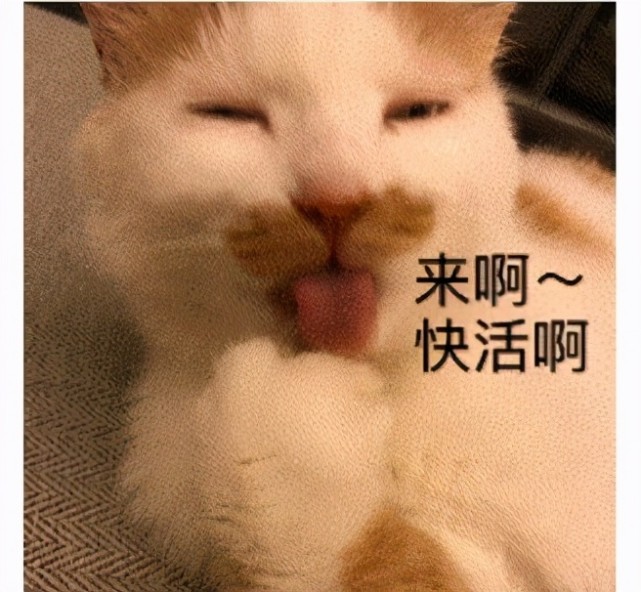 能套牢你~有美人的剧就是视觉盛宴,如果美女众多,还诱惑就真的很哇塞