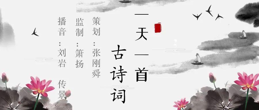 一天一首古诗词 一剪梅 雨打梨花深闭门 腾讯新闻