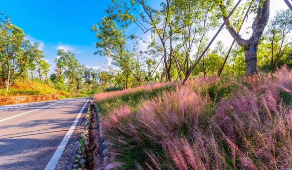 收官麓湖芯!晴翠墅生活 仅130席!