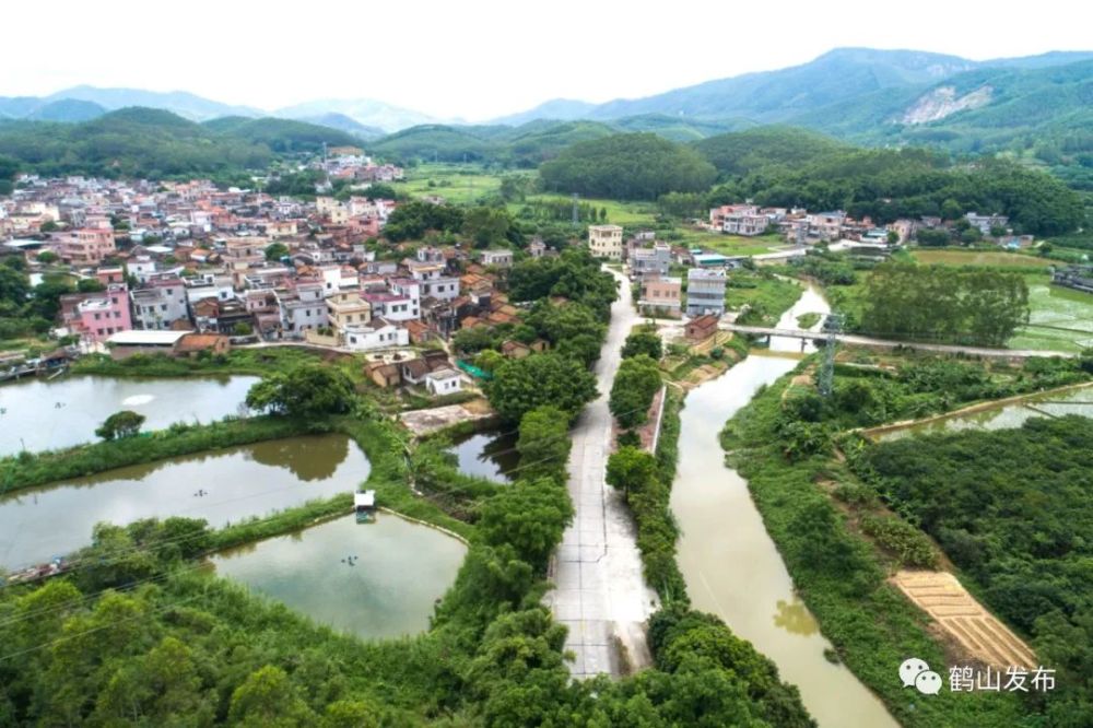 花都区雅瑶镇图片