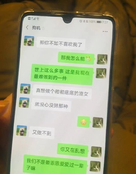 月逝水报平安疑似渣男聊天记录被曝女人不要原谅出轨的男人