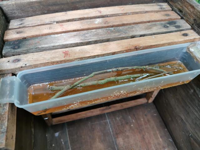 冬天蜜蜂怎么喂糖 冬天蜜蜂怎么喂糖浆