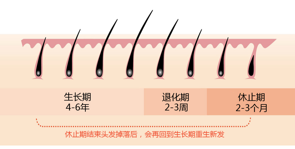 女主持人因斑禿上熱搜壓力是怎樣薅掉頭髮的