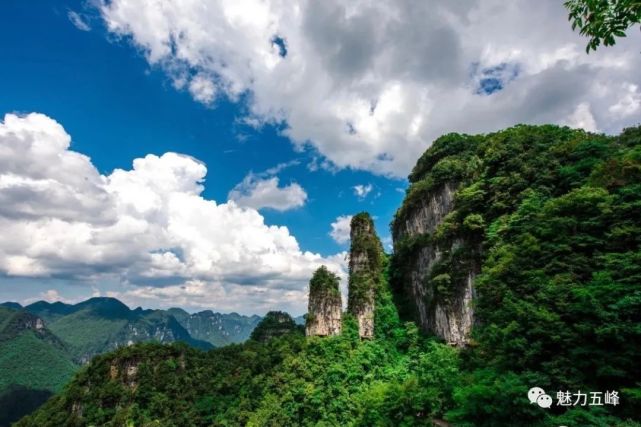 免票半价五峰这些景区有优惠