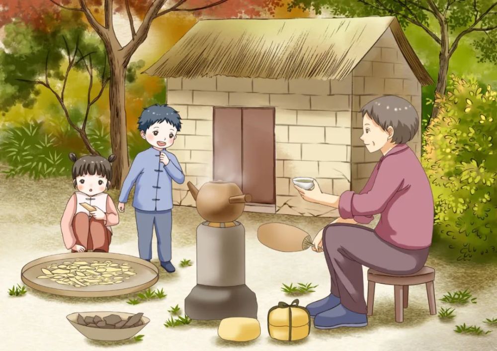 今天就为大家普及一下中药煎煮的相关知识,让大家熬中药不再犯难.