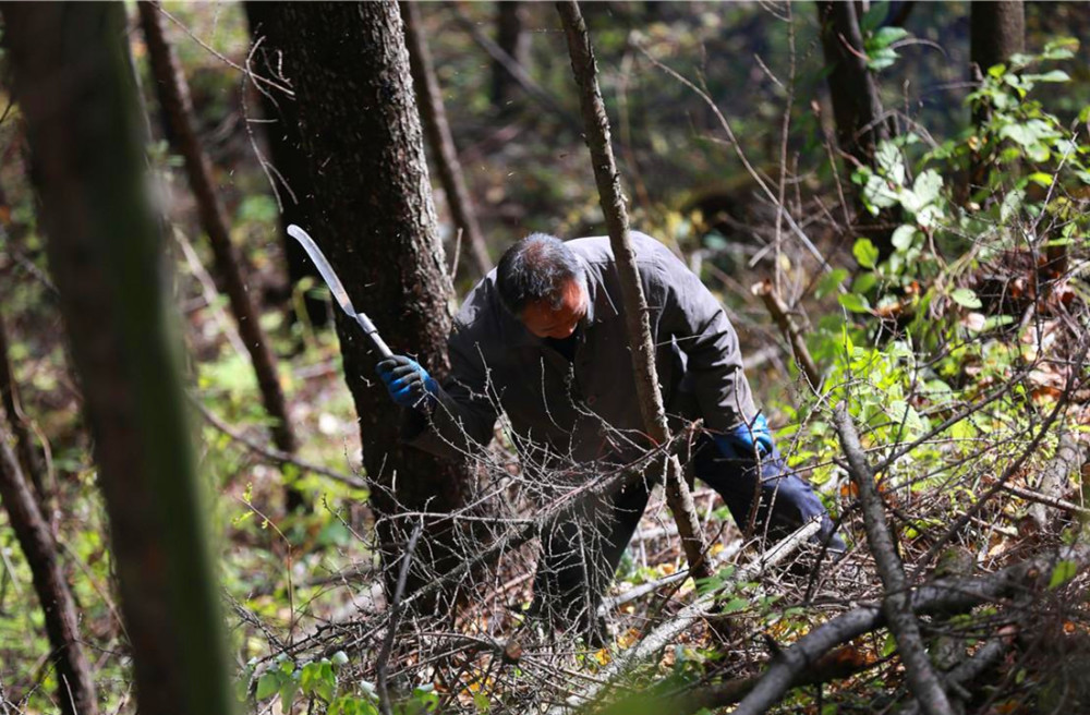 民间故事樵夫山里砍柴救一个白衣书生得赠一宝却毁终生