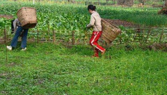 17歲女孩撿到 小船 上交後獲得68元獎勵 現值1000萬 中國熱點