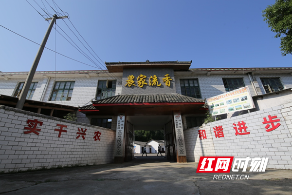 坝塘镇通过农旅融合,土地发包,房屋租赁等增收措施,拓宽了集体经济