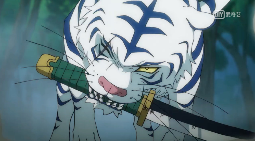 遇到野生东北虎该怎么办索隆的做法很简单1v1直接干