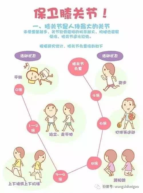 养生日常卡通视频的简单介绍-第1张图片-鲸幼网