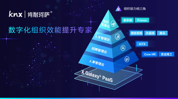 管理(hcm)一体化云解决方案提供商,围绕人力资源数字化提升组织效能