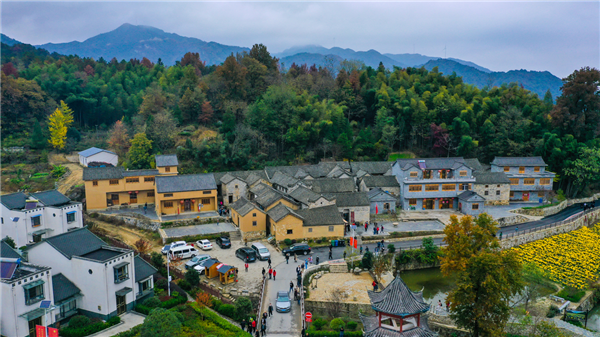 金寨县大湾村(图源:安徽省文化和旅游厅)