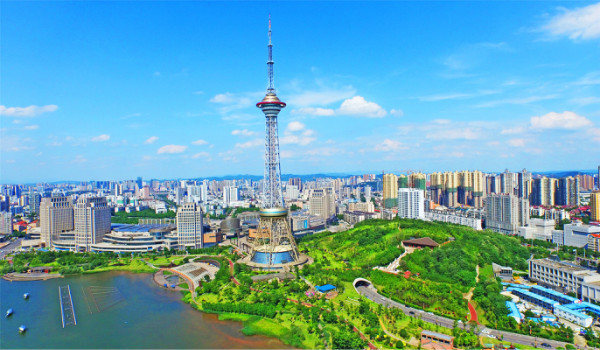 天元区:"全链路"培育社会组织 精准推进社区治理服务