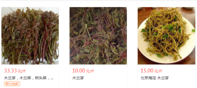 五一前食用最佳,10-30元一斤,很少人知道它能吃|木兰芽|野菜|栾树|花