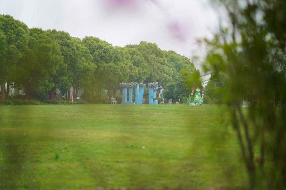 亲子必游江南花伴湾看孔雀东南飞花伴湾里边可玩儿的太多