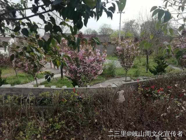 岐山县凤鸣镇北郭村简介