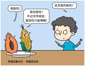 漫画转基因食品的安全性一定要经过长期多代人的验证吗