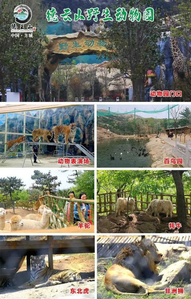 全媒发力 深度推动 创新发展—方城德云山与我台启动战略合作