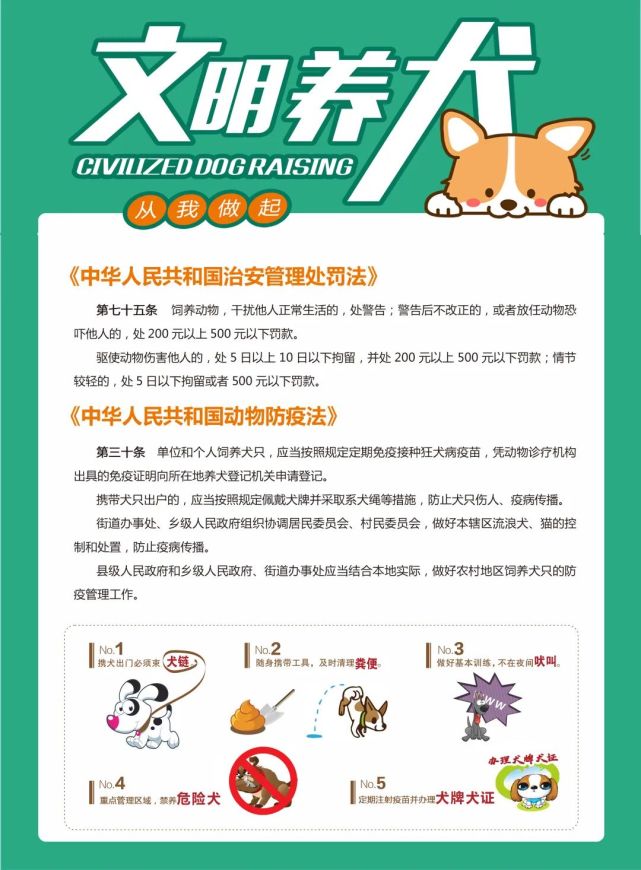 文明养犬从我做起致建湖养犬市民的一封信