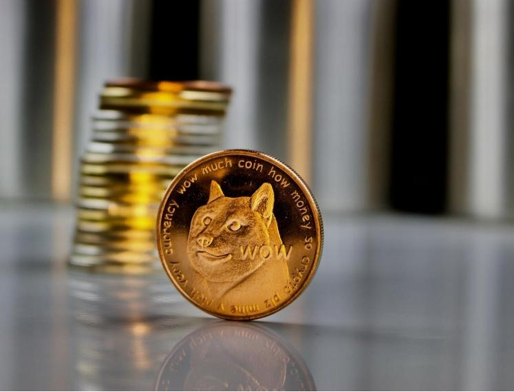 狗狗币暴涨400多倍 15万人签署请愿书 亚马逊考虑做出整改 腾讯新闻