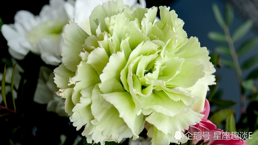 4月28日星座运势 金牛提高警惕 天蝎贵人扶持 摩羯迎接挑战 腾讯新闻