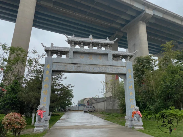 马腾空,马上"腾空"了