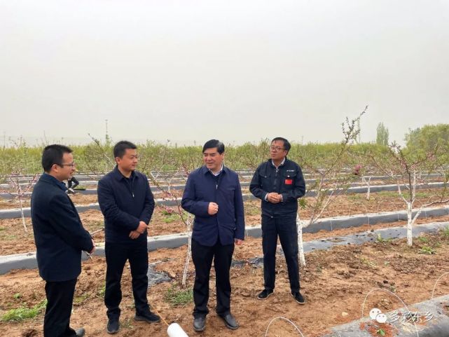 马良佐深入河滩镇开展调研