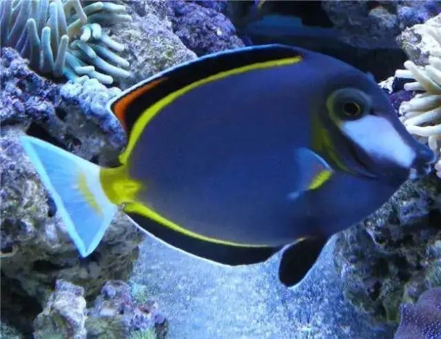 明确了咸宁万达广场新海洋生物馆五一盛大开业门票无限送