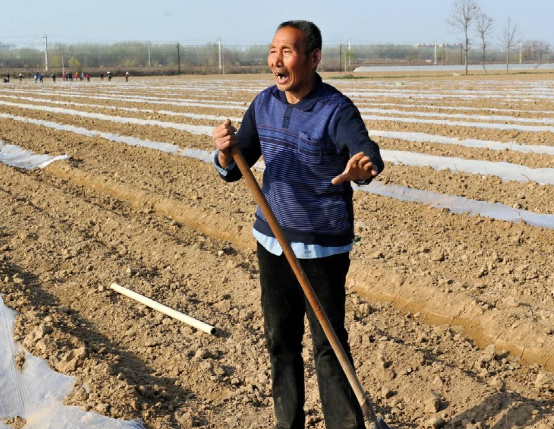 79岁农村大哥酒精脂肪肝,平时爱吃1"酸",转氨酶正常,值得学_腾讯新闻