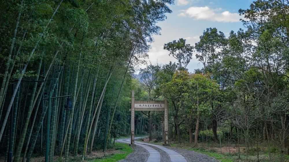 黄公望隐居地富阳东洲,有一处叫庙山坞的"洞天福地",就是元代大画家