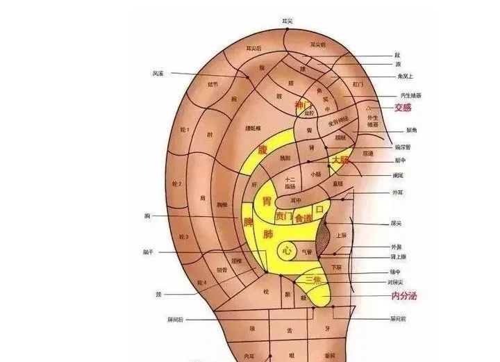 这部位有91个穴位 每天揉一揉 五脏六腑更健康 腾讯新闻