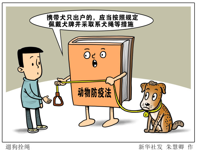 (图表·漫画)【新华热评】遛狗拴绳