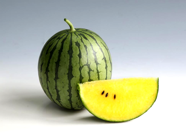 江苏破解农业芯片卡脖子难题甜蜜较量背后的育种赛跑