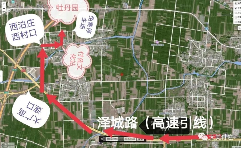 肃宁月季园,牡丹园并不是一个地方.