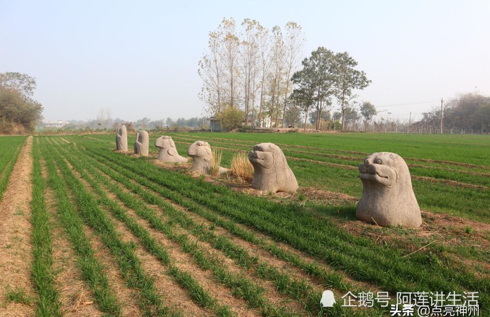 以前,宋陵再遭人为破坏,地面建筑毁得更加彻底,宋钦宗的永献陵被平