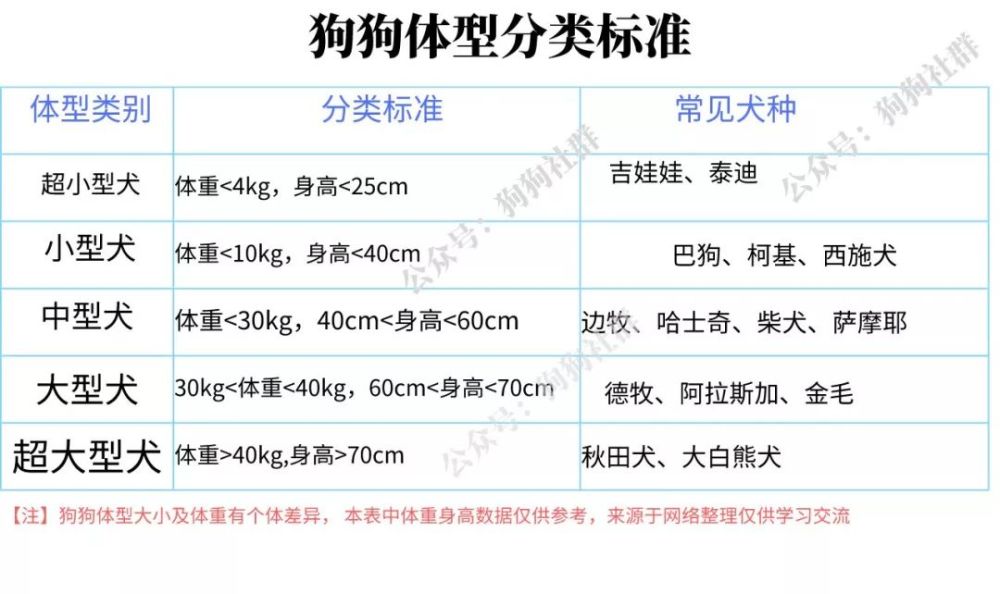 养大 中 小型犬的区别 腾讯新闻