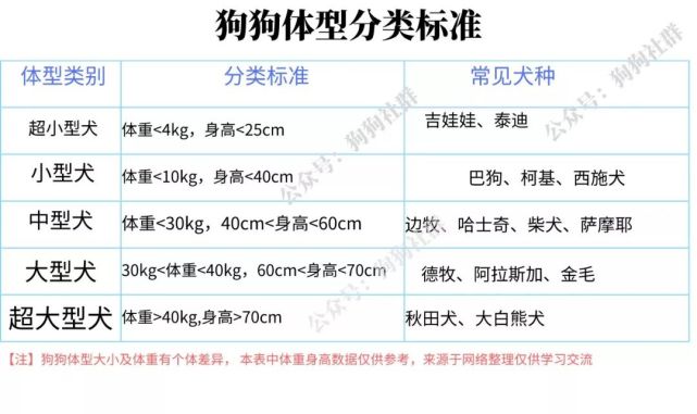 养大,中,小型犬的区别