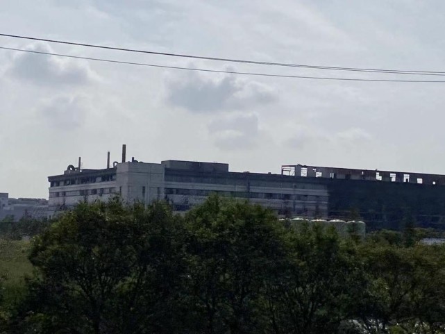 上海金山厂房大火8人遇难两名消防员评为烈士电子厂存较大安全隐患