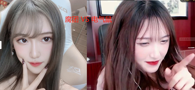 电气鼠vs腐团就如同业余选手和职业选手最关键的一点电鼠没有