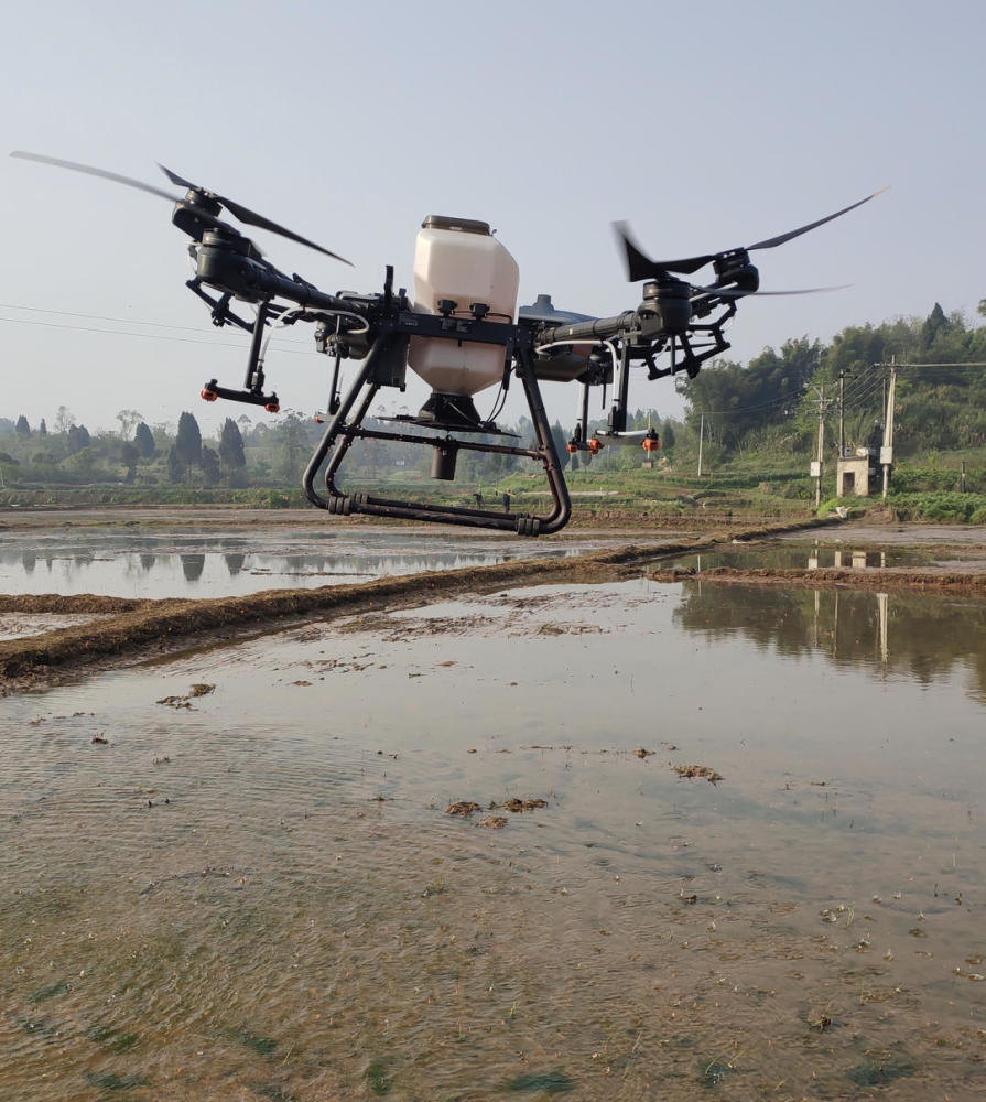 1小时可直播水稻20亩四川荣县首次运用无人机直播水稻新技术
