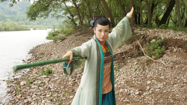 在《神雕侠侣》后传中,阳顶天得杨过真传,击杀耶律齐,打死百损道人,登