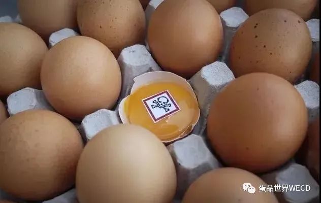 席卷整个欧洲的毒鸡蛋一案开审