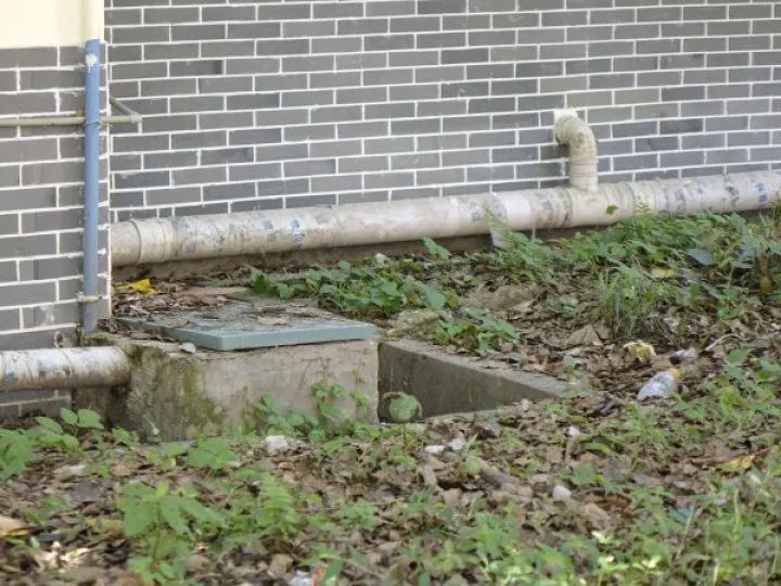 曝光!东坡区中铁小区存在诸多问题 居民生活环境亟待改善_腾讯新闻