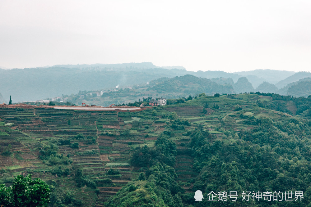 后金山位于新昌县东茗乡西南黄泥坡,距离新昌县城23公里,从宁波市中心