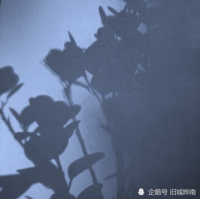 有灵魂 有质感的高级英文文案 值得收藏 腾讯新闻