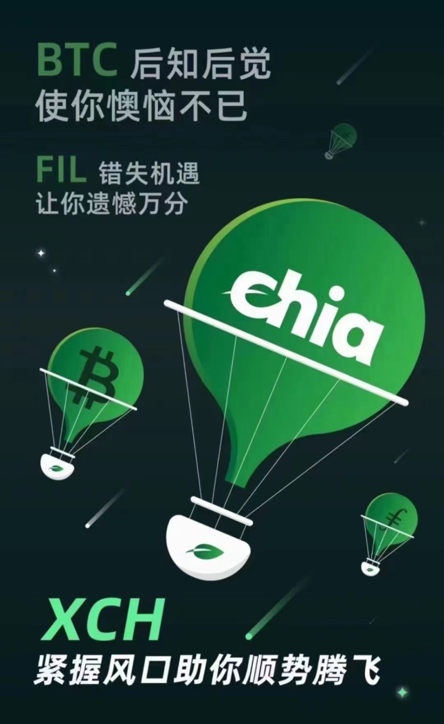 chia奇亚最接近传统金融工具的数字资产